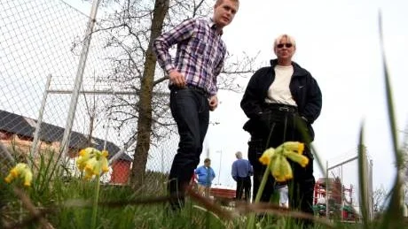 Gullvivor. Man ska satsa mer på det som är ovan jord än det som är under, är miljöpartisten Gustav Fridolins paroll. I går besökte han Carina Ahlqvist i Rute för att diskutera markägarnas situation när oljebolagen knackar på och vill leta olja.Foto: Henrik Radhe