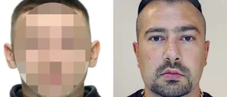 Uppgifter: Räven och dödsfiendens avtal – slutar skjuta anhöriga