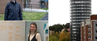 Pitebo har köpt ut högt uppsatt chef: "Mycket ovanligt"