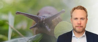 "Därför rustar Sverige för långsamt"