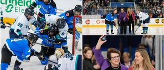 Fällman vinnare i debuten – besegrade Toronto i historisk match