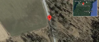 Viltolycka skapar trafikproblem