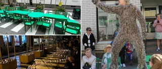 Många positiva till projektet – det händer med gatan nu