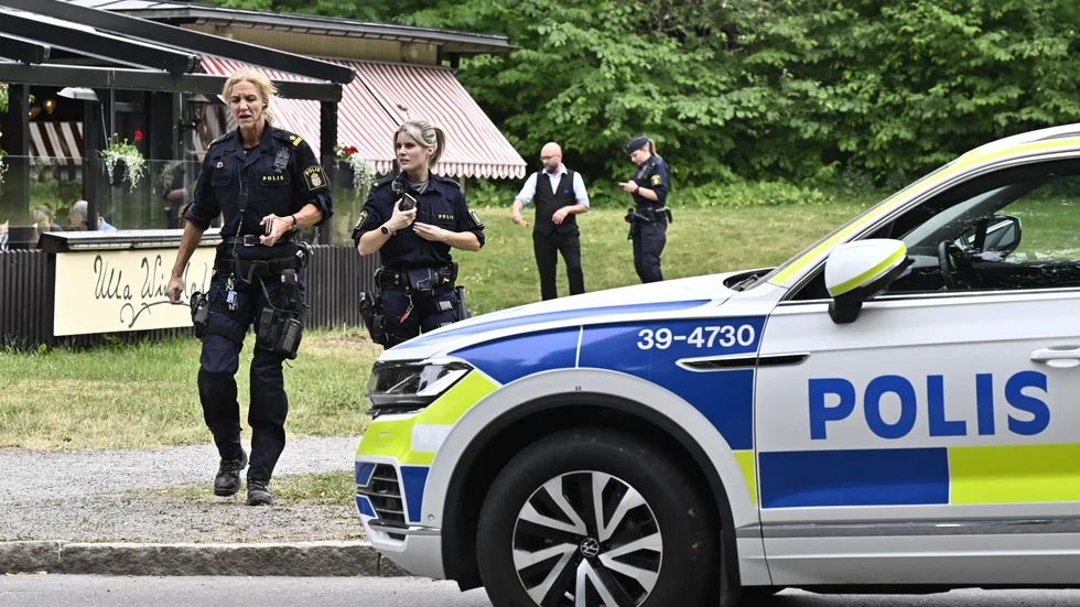 Flera hästar som norrbottningen äger skenade på Djurgården i Stockholm i somras. En man i 70-årsåldern fick livshotande skador och mannen från länet åtalas nu för grovt vållande till kroppsskada och framkallande av fara för annan. (Arkivbild)