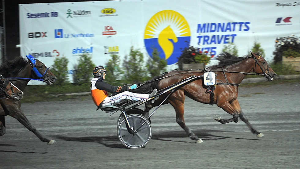 Ove A Lindqvist vet inte hur det känns att förlora med amatören Stefan Lundmark I´ve Got Pepper. Ekipaget är favoriter i V75-2 på Bodentravet.