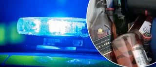 Epaungdomar misstänks ha brutit sig in och stulit sprit i bostad
