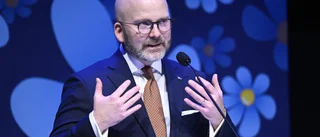 Se upp för falska Ukrainavänner