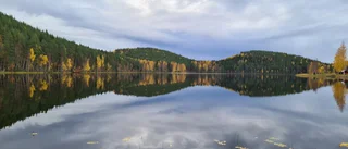 Dagens läsarbild: Rakt in i hjärtat