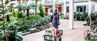 Viktigt med seniorboenden på Gotland