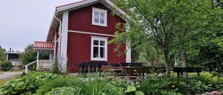 Läsarbilden: Fårölottens koloniområde