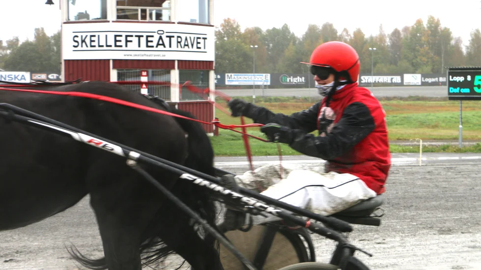 Öjebyamatören Linda Holmgren vann andra raka skrällsegern i Skellefteå med 6-åriga kallblodet Almas Turmalina. 59,91 i odds i debuten och 32,87 torsdag eftermiddag.