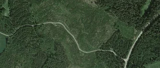 Ny ägare till gård i Tierp Landsbygd