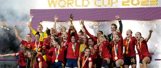 Uppgifter: Världsmästarna spelar inte mot Sverige