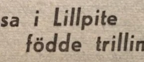 Ur PT:s arkiv: Sällsynt trillingfödsel i Lillpite