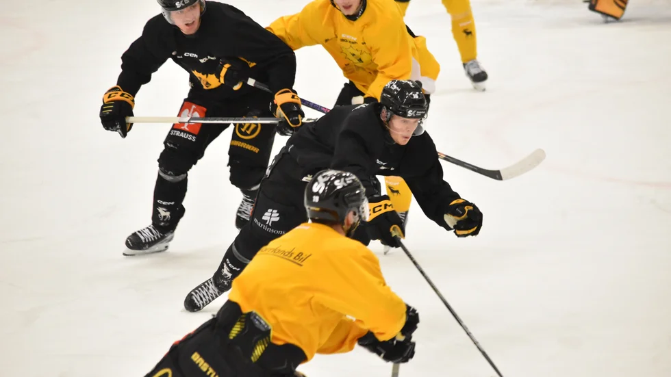 Skellefteå AIK