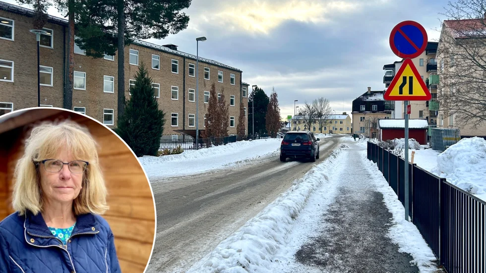 Inger Fredriksson, gruppledare för Centerpartiet i Katrineholm, har tillsammans med partikollegan Ingela Wallace lämnat in en motion om att göra om Läroverksgatan till gångfartsområde. 