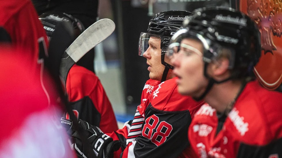 Linus Hedman och Piteå Hockey blev nollade igen på hemmaplan.