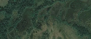 Nya ägare till gård i Malå Landsbygd