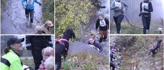 Årets tuffaste hundekipage utsett i Ala Iron Dog
