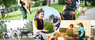 Sötchock: Pälsklingar vi minns i nostalgisk backspegel
