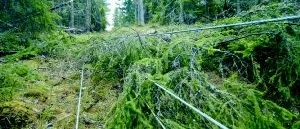Sydkraft gräver ner elkablar  
efter stormen Gudrun