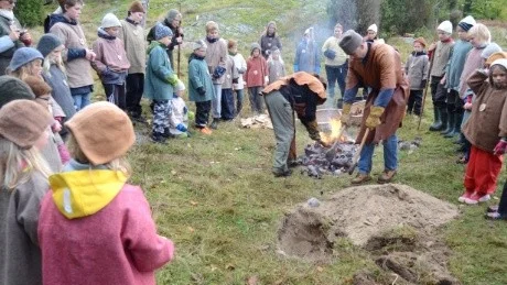 De heta stenarna rullas på plats i kokgropen. Maten, som är inlindad i näverpaket, sänks sedan ner och över paketen läggs grästorvor och jord. Foto:Hans Brandin