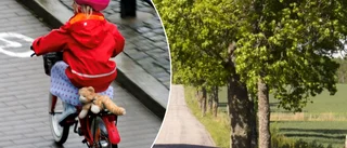 Vildvuxet träd i Väskinde – en trafikfara • ”Blir större och större”