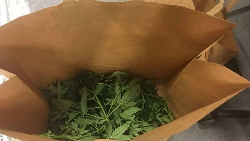 Cannabis och annan narkotika hittades hos mannen.