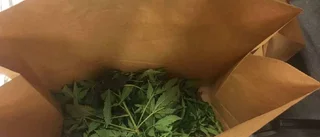 Fängelse för knarkbrott står fast