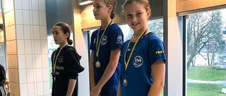 Framgångar för SK Ena