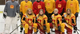 Rekordmånga i TV-pucken