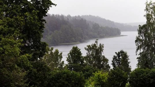 Olycka. Ungdomarna seglade på sjön Ryven när masten kom i kontakt med en högspänningsledning. Båten blev strömförande och fyra seglare fick lindriga brännskador.