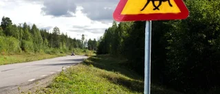Vägarna i Västerviks kommun där det smällde flest gånger • 75 olyckor på mest drabbade sträckan