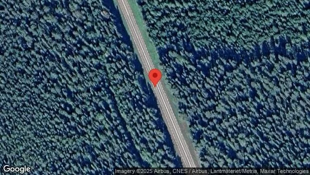 Träd över vägen skapar problem i trafiken på E10
