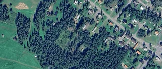 Ägarbyte för skogen på Fällforsvägen 22 i Fällfors