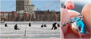Uppmaningen: Fiska inte i centrala Piteå