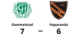 Gammelstad vann mot Haparanda i förlängningen