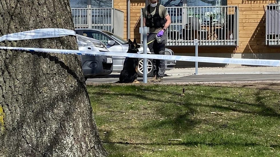 Polisen spärrade av ett stort område på Motala väster efter det dödliga knivbrådet. Dagen efter sökte man med hund. Göta hovrätt har nu fastställt domen för gärningsmannen: 17 års fängelse och utvisning på livstid.