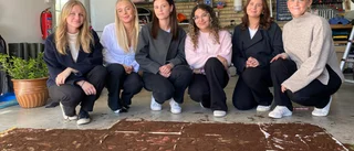 Deras affärsidé: Sälja torkad kaffesump från Västerviks skolor
