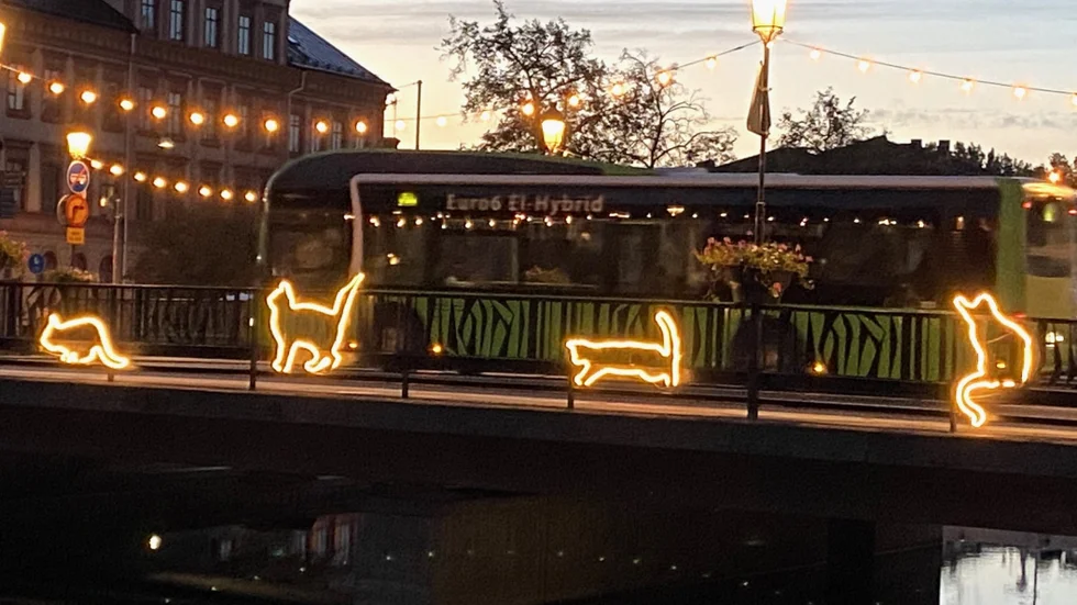 Islandsbron i gryningen. När solen går upp bleknar ljusdjuren och är svåra att upptäcka på avstånd.