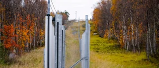 Norge överväger gränsstängsel