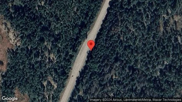 Träd över vägen skapar problem i trafiken på väg 55