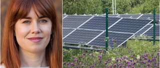 Solkraften sänker elpris och utsläpp här och nu