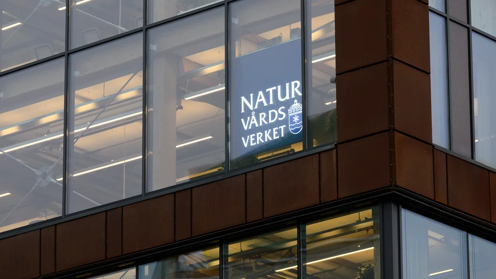 Naturvårdsverket larmar om att regeringen skär ned på medel till gräsrötterna. Arkivbild.