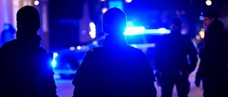 Vårdnadshavarna bär ansvaret för barnkriminaliteten