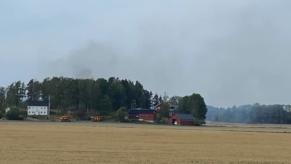 Rök syns mot himlen ovanför ett skogsparti. Fler bilder nedan.