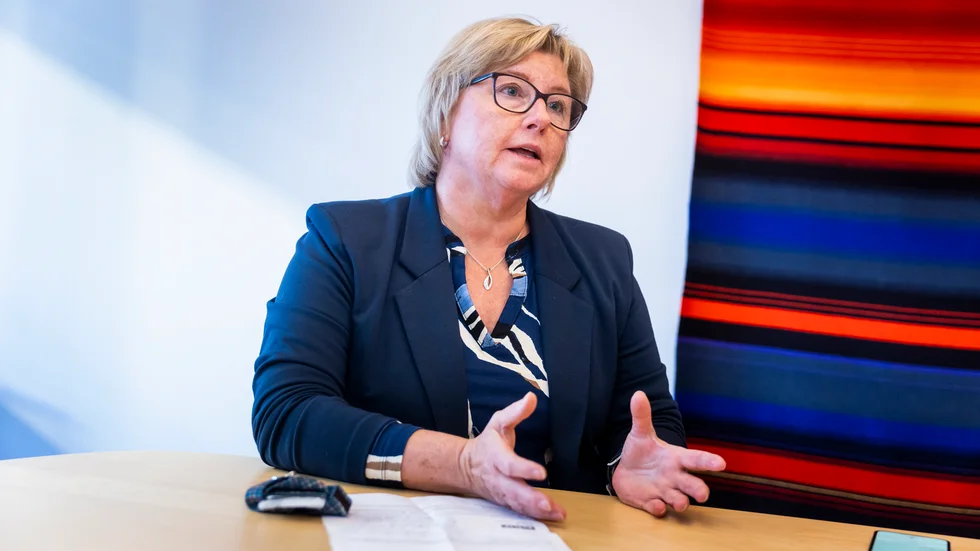 Ann-Sofi Schäufele blir chef över två stora verksamhetsområden på Region Norrbotten fram till sommaren.