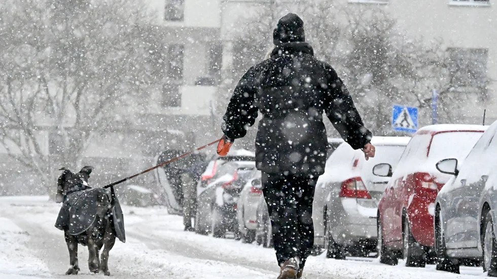 Nästa vecka kan årets första snöfall leta sig in över Katrineholm. Bilden är tagen vid ett tidigare tillfälle och på en annan plats i Sverige. 