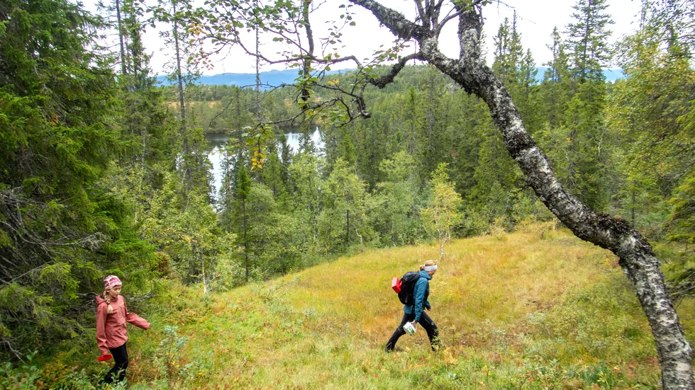 Frluftslivet försvarare har gått vilse.