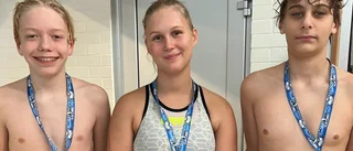 Ökat intresse för klassisk tävling – medaljregn över klubben